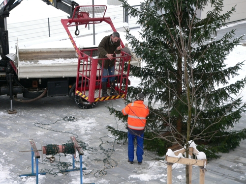 Aufstellung des Baums